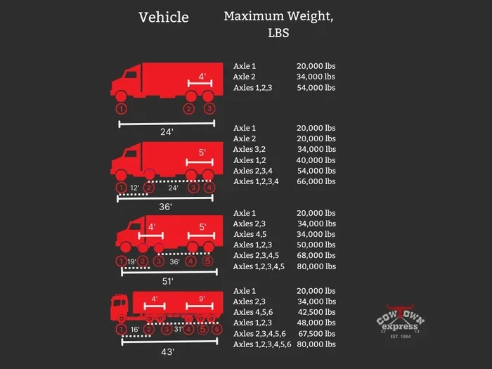 Does My Car Have a Weight Limit and What You Need to Know