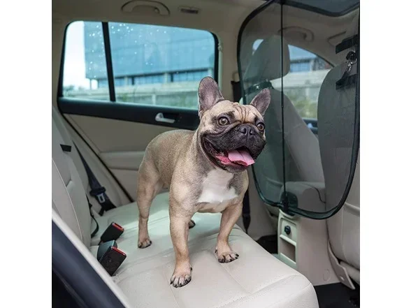 Best Dog for Car Dashboard to Keep Your Pup Safe on Rides