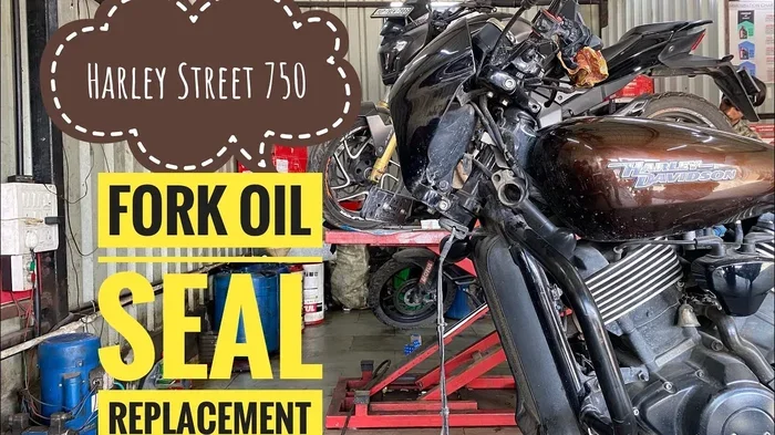 Harley-Davidson Street 750 Problems and How to Fix Them
