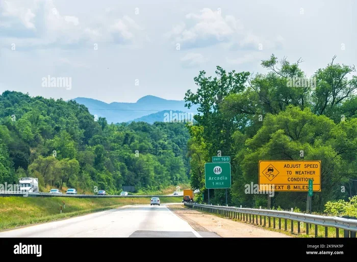 Do You Need Car Insurance in Virginia Find Out Now